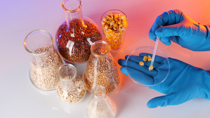 Chimica degli alimenti protagonista a Praga