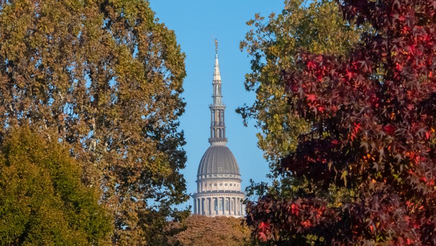 Seminario_27.11.24_Gestione