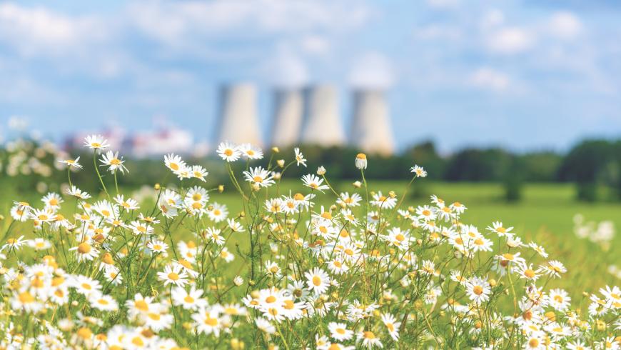 Master_Decommissioning