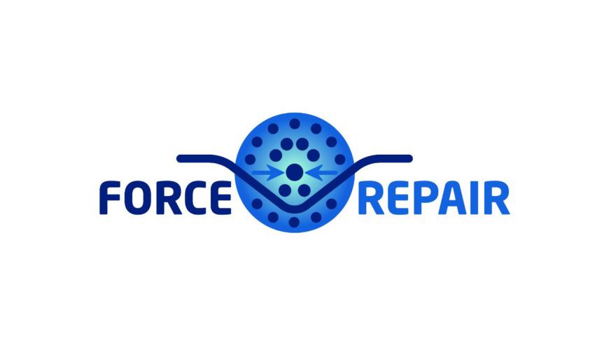 Force Repair
