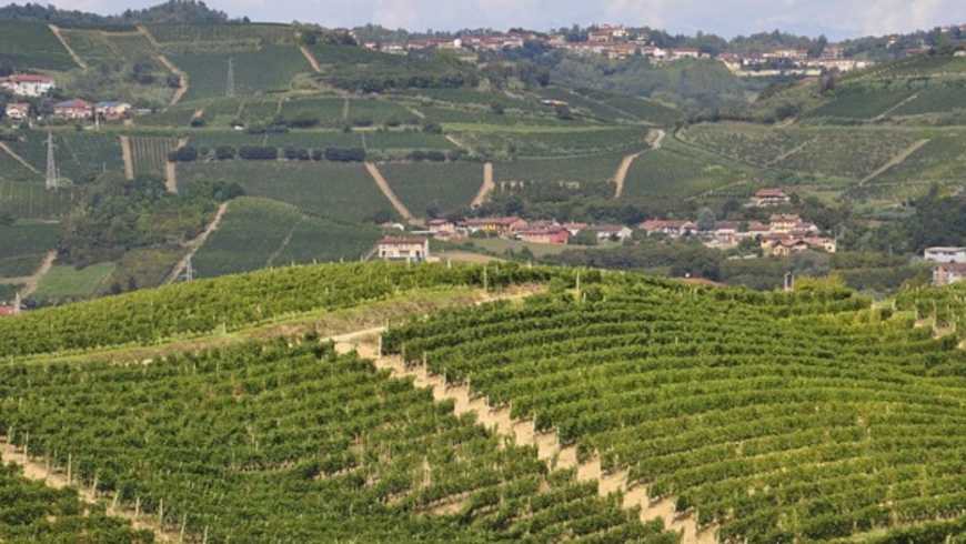 Convegno, incontri e attività organizzati dal Comune di Dogliani e dall’Associazione Polis, promotrice della Scuola di Alta formazione “Luigi Einaudi” in “Antropologia della libertà”