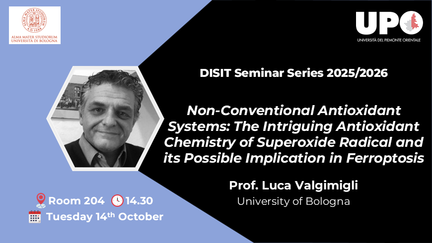  "DISIT Seminar Series" 