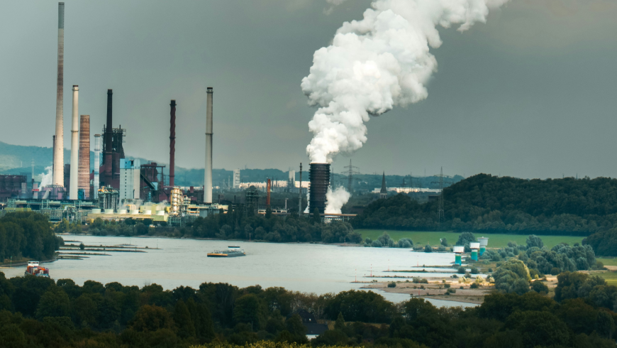 Volume Savarino Vineis